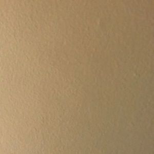 Meet your Posher, Mauricio